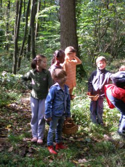 files/kinderkulturwelt/kikuwe/bilder/Erfahrungsfeld/KRAeUTER.JPG