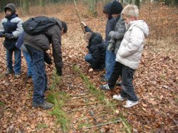 files/kinderkulturwelt/kikuwe/bilder/landartspureARCHIV.JPG